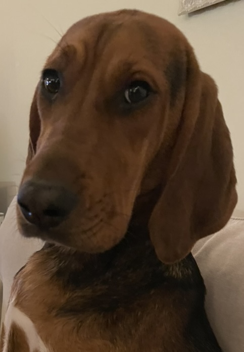 member portrait